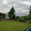 zdjęcie nr 
