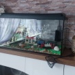 zdjęcie nr 