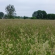 zdjęcie nr 