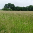 zdjęcie nr 
