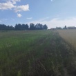 zdjęcie nr 