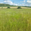 zdjęcie nr 