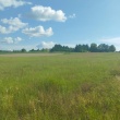 zdjęcie nr 