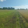 zdjęcie nr 