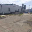 zdjęcie nr 
