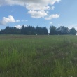 zdjęcie nr 