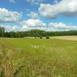 zdjęcie nr 