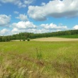 zdjęcie nr 