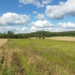 zdjęcie nr 