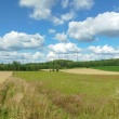 zdjęcie nr 