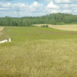 zdjęcie nr 
