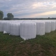 zdjęcie nr 