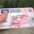 zdjęcie nr 