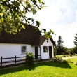 zdjęcie nr 