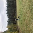 zdjęcie nr 