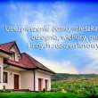 zdjęcie nr 