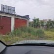 zdjęcie nr 