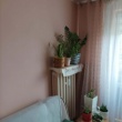 zdjęcie nr 
