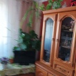zdjęcie nr 