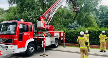 Połamane drzewa i zerwana obróbka dachu. Krajobraz po przejściu wichury nad Łomżą i powiatem